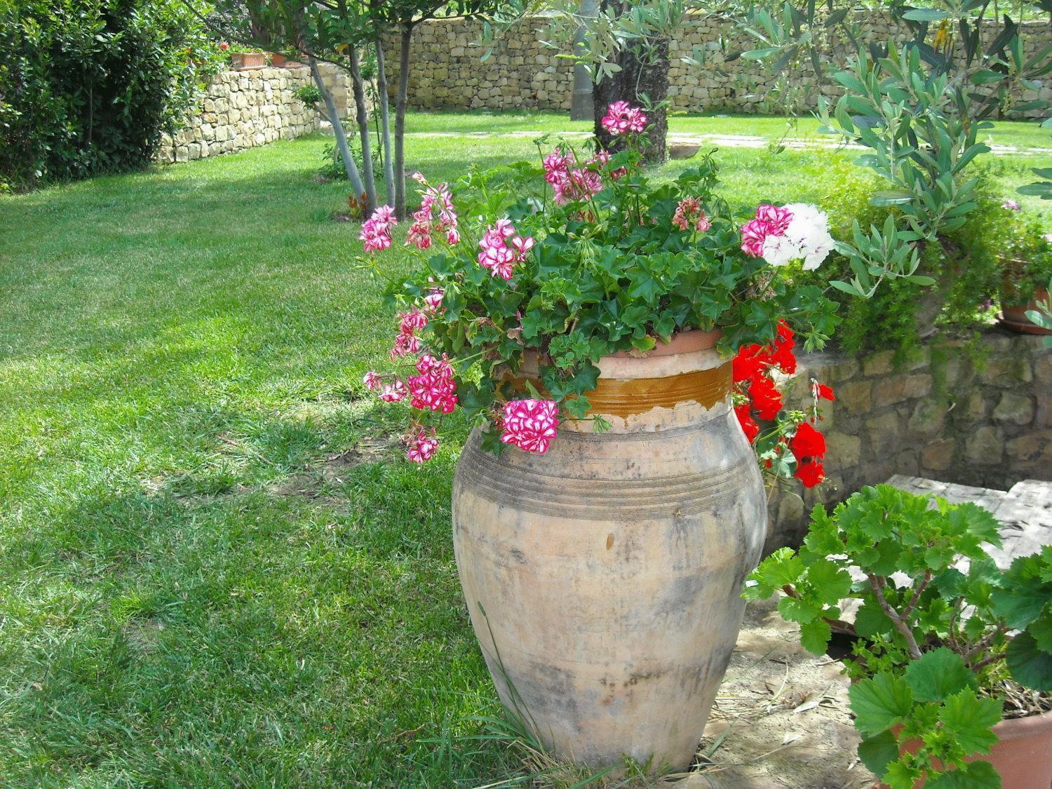 SantʼAgata di Militello Agriturismo Villa Luca מראה חיצוני תמונה